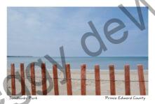 Sandbanks Snowfence Dark Sky #3799