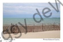 Sandbanks Snowfence Plain #3958