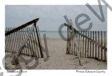Sandbanks Snowfence Spring #2428