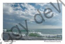 Sandbanks Splashing #1508