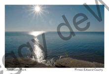 Sandbanks Sunburst #3959