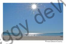 Sandbanks Sunburst #4527