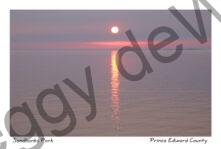 Sandbanks Sunset Globe Pink #3617