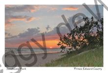 Sandbanks Sunset Grass Scene #4306