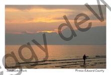 Sandbanks Sunset Park #2674