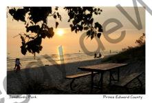 Sandbanks Sunset Richardson #2675