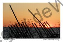 Sandbanks Sunset Snowfence #3806