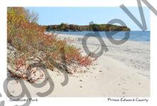 Sandbanks View of West Pt #4508