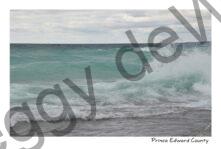 Sandbanks Waves Aqua #4590