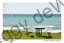 Sandbanks Waves Picnic Table #3962