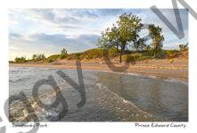 Sandbanks Waves Trees Sky #4436