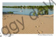 Sandbanks West Lake 4 #2678