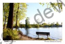 Sandbanks West Lake Bench #3963