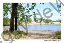 Sandbanks West Lake Dunes Shore #4110