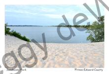 Sandbanks West Lake Dunes Summer #4308