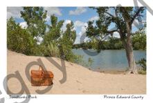 Sandbanks West Lake Picnic Basket  #3621