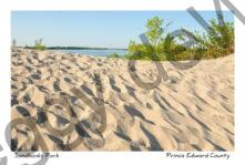 Sandbanks West Lake Sandy #2681