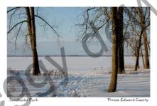 Sandbanks West Lake Winter #1203