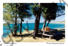 Sandbanks West Point Basket #367