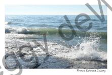 Sandbanks West Point Splashes #4311