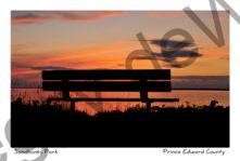 Sandbanks West Point Sunset Bench #3808