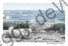 Sandbanks West Point Waves Sparkling #4312