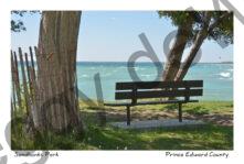 Sandbanks West Pt Bench #3384