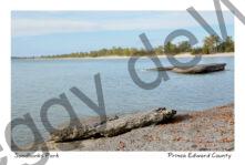 Sandbanks West Pt Big Rock #4114