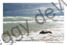 Sandbanks West Pt Dark Clouds #4117