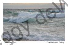 Sandbanks West Pt Great Waves Aud #4050