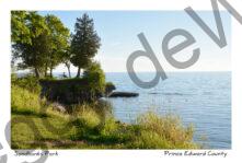 Sandbanks West Pt Mom #3811