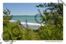 Sandbanks West Pt Path View #4183