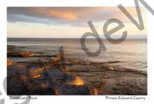 Sandbanks West Pt Rock Shore #3965