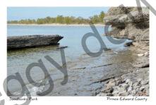 Sandbanks West Pt Rock Wave #4121