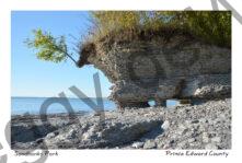 Sandbanks West Pt Rocks #3966