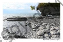 Sandbanks West Pt Rocks #4440