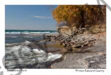 Sandbanks West Pt Shore Fall #3389
