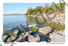 Sandbanks West Pt Shore Rocks #4556