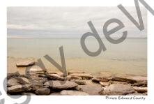 Sandbanks West Pt Shore Stones #4125