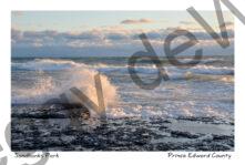 Sandbanks West Pt Splash #4128