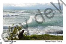 Sandbanks West Pt Splash Misty #3395