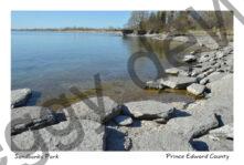 Sandbanks West Pt Spring #3396