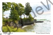 Sandbanks West Pt Tree Misty #3398