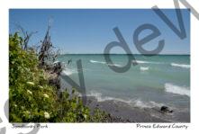 Sandbanks West Pt View #4186