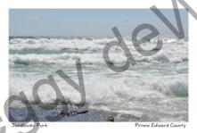 Sandbanks West Pt Waves Shiny #4189