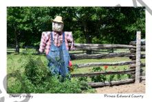 Scarecrow Garden #4317
