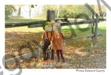 Scarecrows Fence SPP #4315
