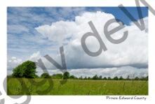 Sky Clouds Melville #4509