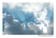 Sky Clouds Opening #1137