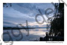 Sky Morning Blue Willow #4450